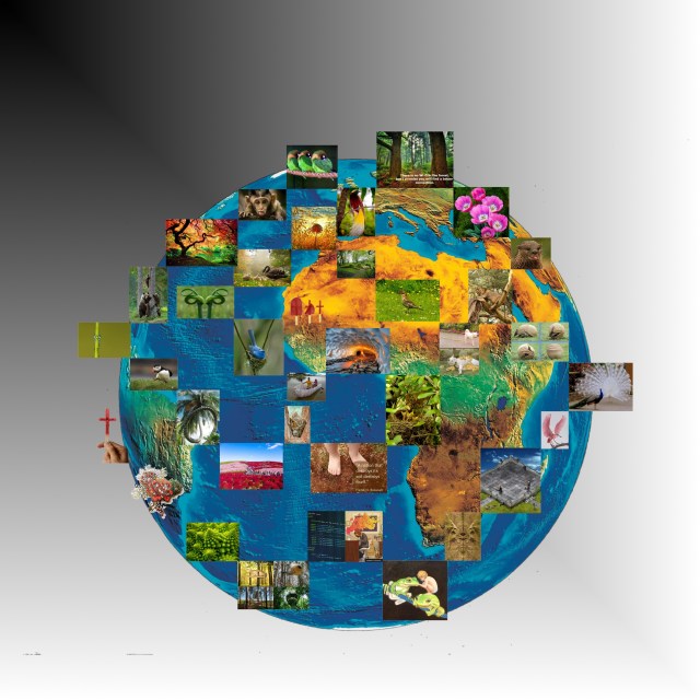 POLITICALmapoftheWORLD_2013 oder Omas_SonnenblumenERDE_MarcelKlein2013_small