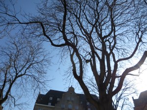 IMG_0692